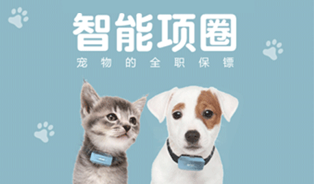 智能寵物gps追蹤項圈解決寵物丟失問題